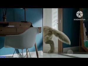 Elena Transformation 11