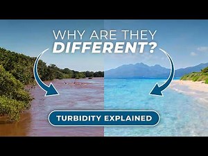 Turbidity Levels Explained: How is it Measured?
