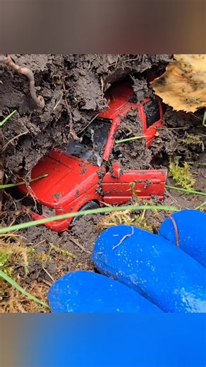 X-Findings on Instagram: "Autumn findings are amazing"