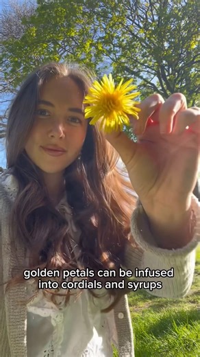 Don’t Kill Your Dandelions - Eat Them Instead! 🌼