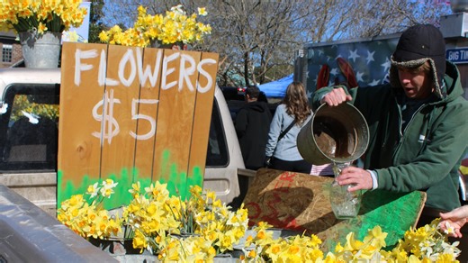 Gloucester, VA's 40th Daffodil Festival blooming success. See photos