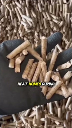 Turning Autumn Leaves Into Winter Fuel