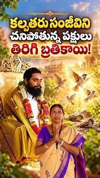 కల్పతరు సంజీవిని : చనిపోతున్న పక్షులు తిరిగి బ్రతికాయి! Sanjeevani #srijeeveswarayogi #shorts
