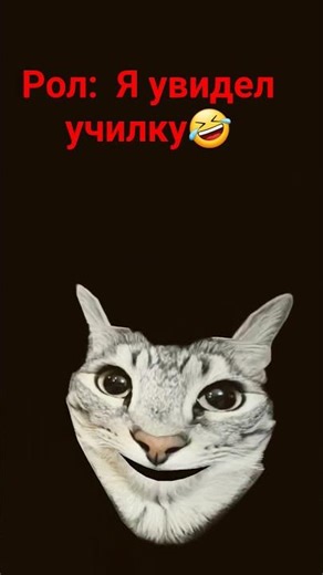 да да так и есть