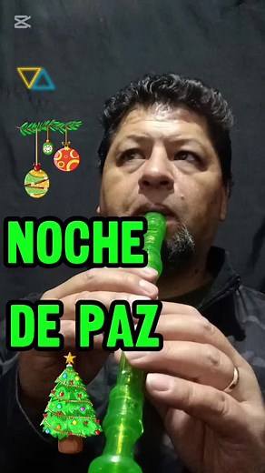 Noche de Paz: Flauta en Vivo