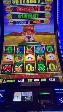 Aussie Boomer Hits INSANE Slot Machine Bonus WIN!