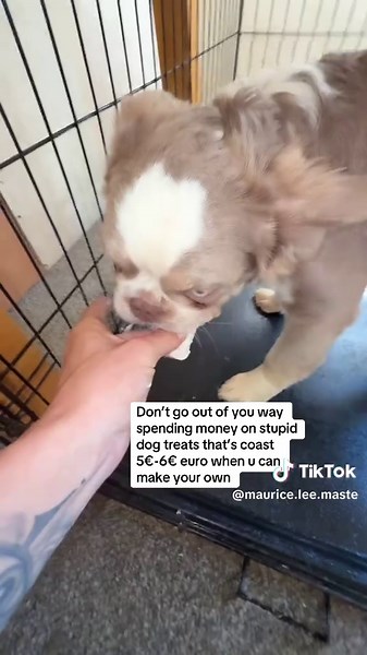 Maurice lee Masterson on TikTok