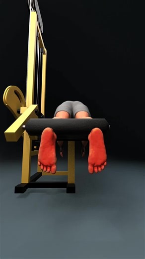 🔥 What Muscles Does the Lying Leg Curl Target? The Lying Leg Curl mainly targets the hamstrings — the muscles located at the back of your thigh. It specifically works: • Biceps Femoris • Semitendinosus • Semimembranosus These three muscles make up your hamstrings and are activated when you bend your knee while lying face down on the machine. #LyingLegCurl #Hamstrings #GymAnatomy #Fitness #LegDay