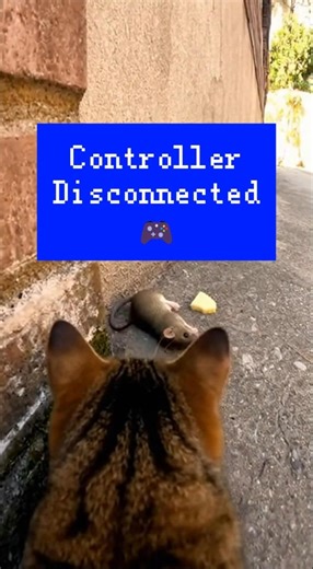 Bro’s controller disconnected 💀🎮 #shorts