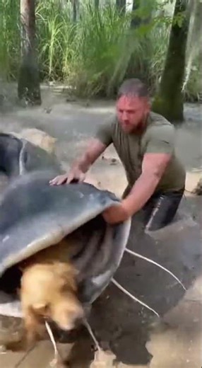 Jungle Showdown: Man vs. Giant Catfish