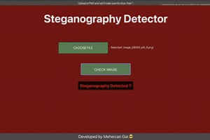 Steg Detector