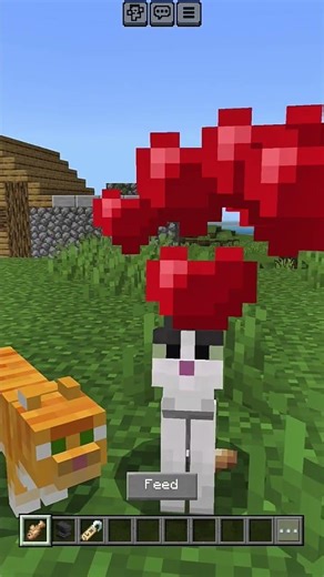 How to tame cat in Minecraft ￼