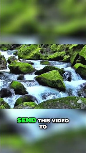 Divine Favor Prayers for Miracles, Victories, Breakthroughs Today! - Praying With Scriptures