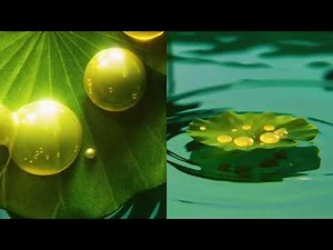 Realistic Nature Scene | 3D Environment Animation