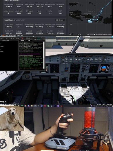 First IFR Departure Communication in VATSIM Network