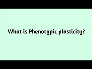 What is Phenotypic Plasticity ?