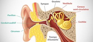 Vertiges : manœuvres libératoires à faire tout seul - Remèdes de Grand-Mere