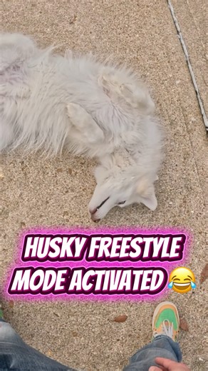 I Said Sit… Claire Said ‘Watch THIS’ ?!😂