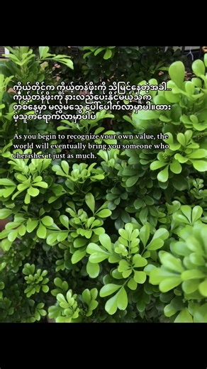 The moment you stop begging to be chosen and start choosing yourself, everything shifts. You begin to move differently, love differently, and accept only what aligns with your worth. And when you truly recognize your value, the universe responds not with empty attention, but with someone who sees you, respects you, and cherishes you without being asked.#lifegoeson #happiness #keepgoing #beyourself #lettinggo