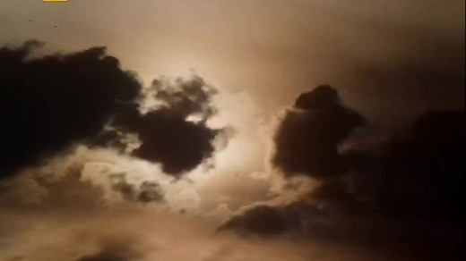 WIDZIADŁO (1984)