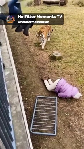 A Shocking Scene Unfolding Below the Viewing Platform | No Filter Moments