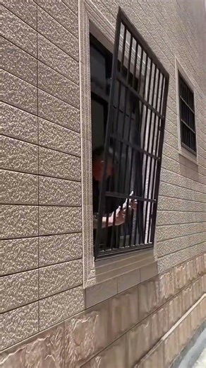 Easy and fast iron trellis installation process on windows #shorts