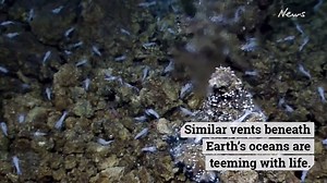 4.8K views · 14 reactions | The world will be able to watch one of...