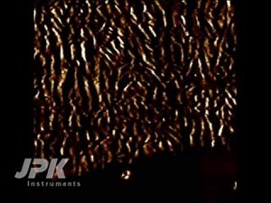 Atomic Force Microscopy - PHB/V spherulite crystallization