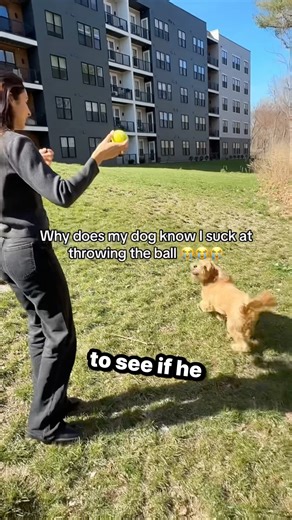 This Dog Knows Who Throws Better