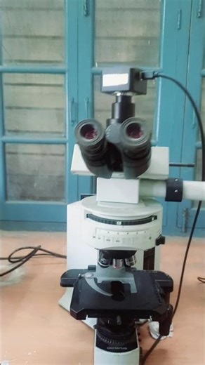 compound microscope image