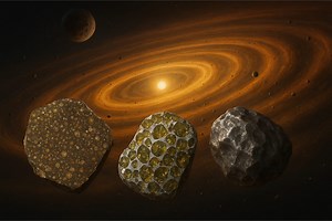 The paleomagnetism of meteorites : from the evolution of the protoplanetary disk to the internal structure of parent bodies