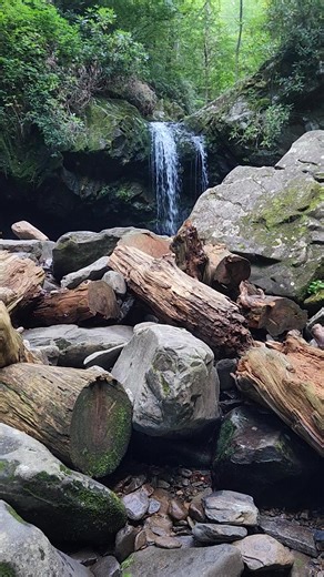 Grotto Falls is on the Trillium Gap Trail on the way to Mount LeConte. | Outdoor Adventures in Tennessee