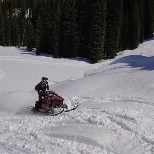 Snowmobile Riding Techniques in Winter Landscapes