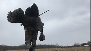 Spring turkey hunting season still on, DNR urges hunting close to home