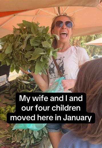 Family Budget for Greek Street Market Shopping