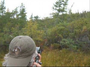 Awesome Newfoundland Moose Hunt