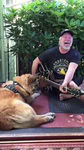 Evidence that you can teach an old dog new tricks  | Allegrias | Facebook