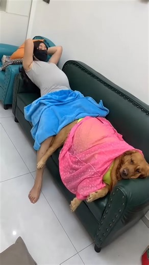 Unlock the Power of Smart Learning with Advanced Gadgets! 🌟 Take your learning journey