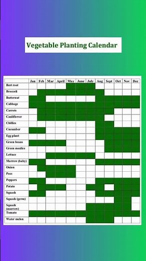 Comprehensive Vegetable Planting Calendar | Month-by-Month Guide
