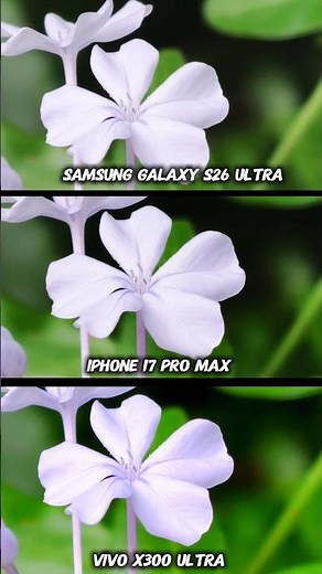 Samsung Galaxy S26 Ultra vs Vivo x300 Ultra vs iPhone 17 pro Max camera Test Photography Test zoom