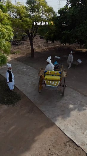 34K views · 5.7K reactions | Panjab  #hsn_tiwana #viral #reels #punjab #life #people #village #panjab #culture #foryou #trend | Hsn Tiwana | Facebook