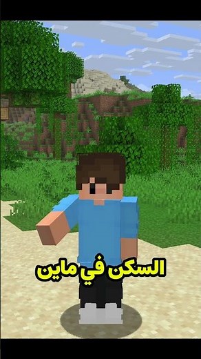 How to Change Your Skin in Cracked Minecraft for All Launchers and Versions