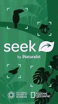 Seek Tutorial