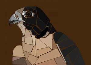 Project: Digital Mosaic