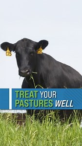 154K views · 1.3K reactions | Treat your pastures well.  | Ag PhD | Facebook