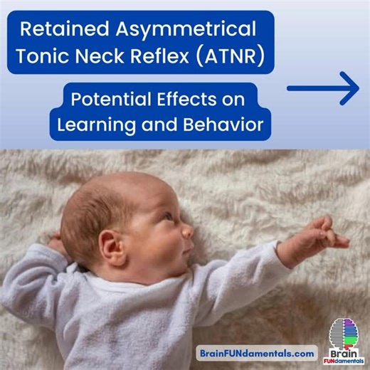 Amy | Brain FUNdamentals | Brain Gym® & Reflex Integration on Instagram: "💡 Could a retained ATNR be impacting learning? When the Asymmetrical Tonic Neck Reflex (ATNR) doesn’t fully integrate, it can show up later as: ➡️ Reading and comprehension challenges ➡️ Poor or effortful handwriting ➡️ Awkward writing positions ➡️ Difficulty with eye-hand coordination ➡️ Neck or shoulder discomfort These struggles aren’t about effort — they’re about how the brain and body work together. ✨ The good news? 