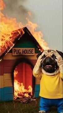 This Little Pug Rebuilt an Old Man’s Life 💔❤️ | Emotional Short Film#emotionalstory #usa