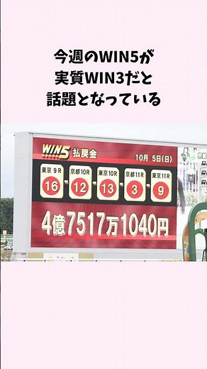 今週のWIN5が実質WIN3だと話題となっている #競馬 #競馬予想 #shorts