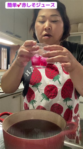 簡単 赤しそジュースの作り方｜ひろっぺ流（今年の作り方）