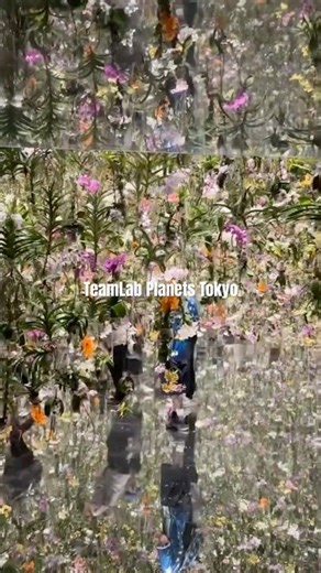 Tokyo on your bucket list? add TeamLab Planets to the itinerary #teamlabs #tokyo #japan #travel